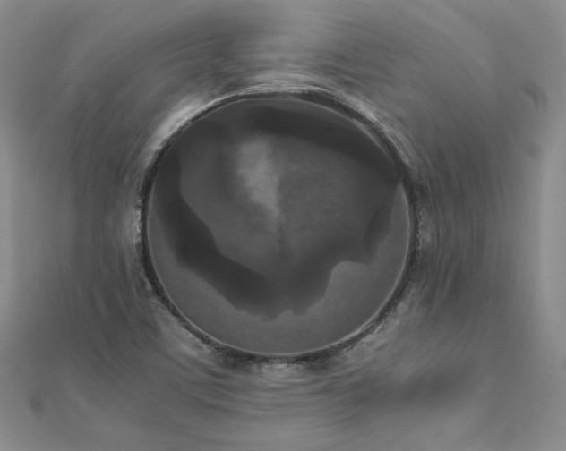 X0000111011459200906191601