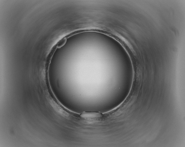 X0000111011460200906191601