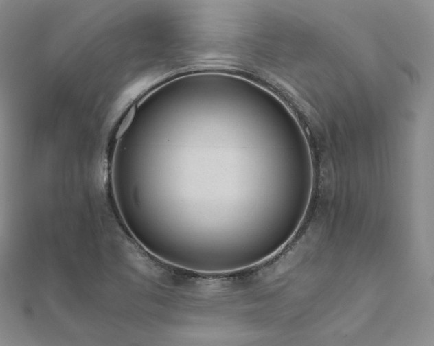 X0000111011461200906191601