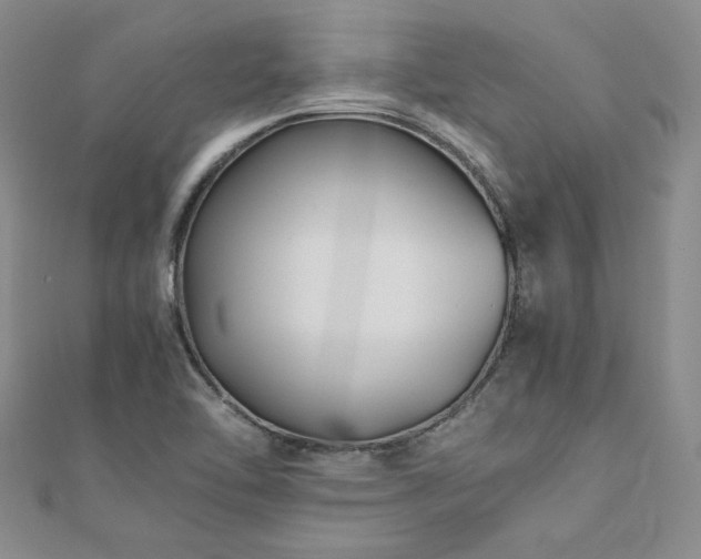 X0000111011462200906191601