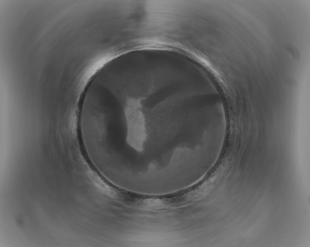 X0000111011463200906191601
