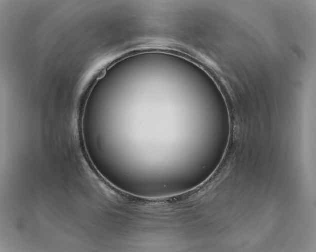 X0000111011464200906191601