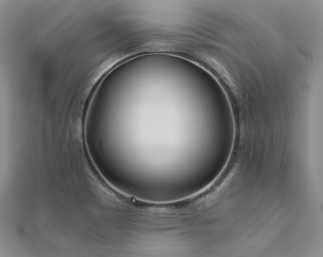 X0000111011465200906191601