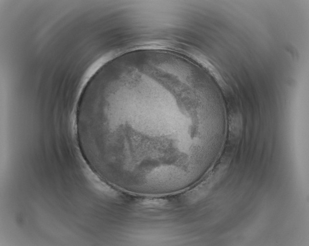 X0000111011466200906191601