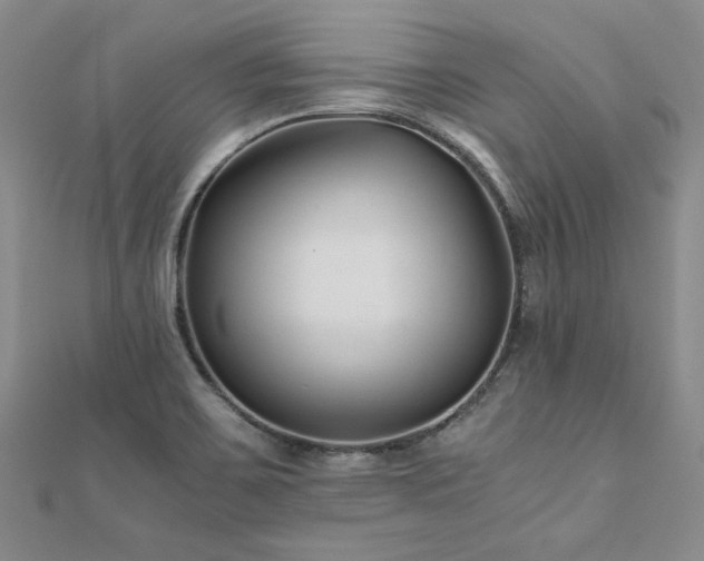 X0000111011467200906191601