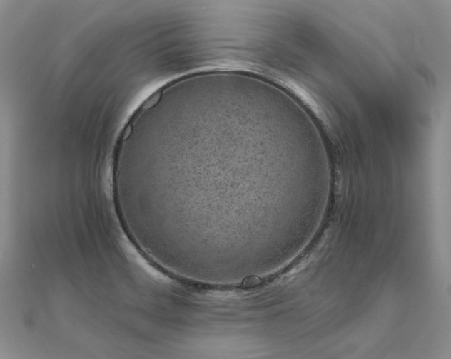 X0000111011468200906191601