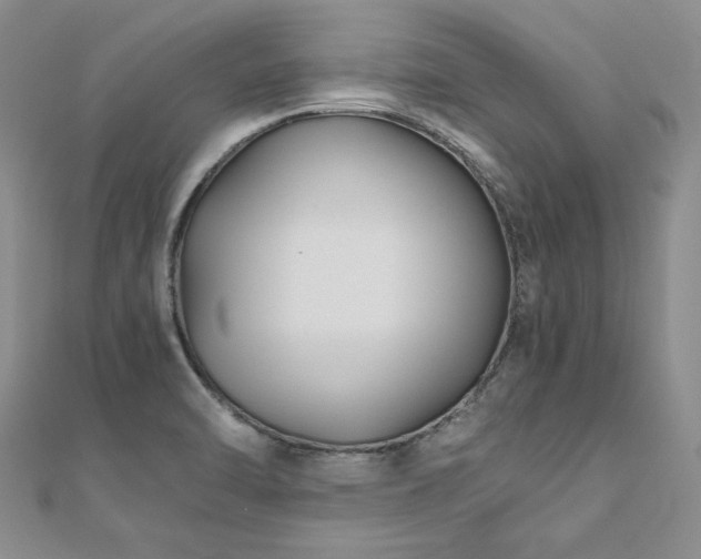X0000111011470200906191601