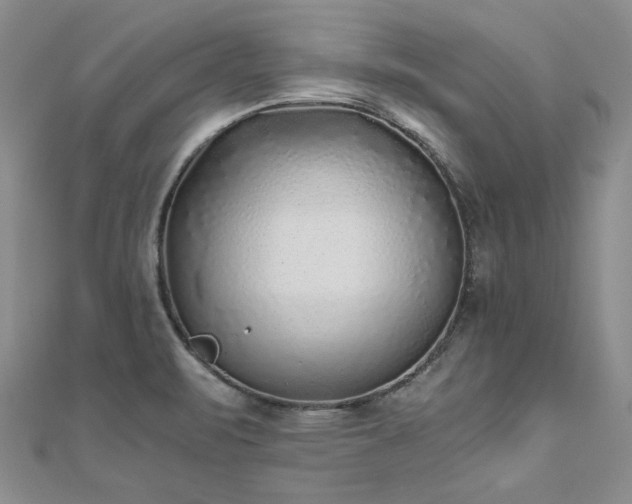 X0000111011471200906191601