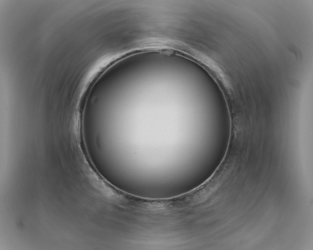 X0000111011472200906191601