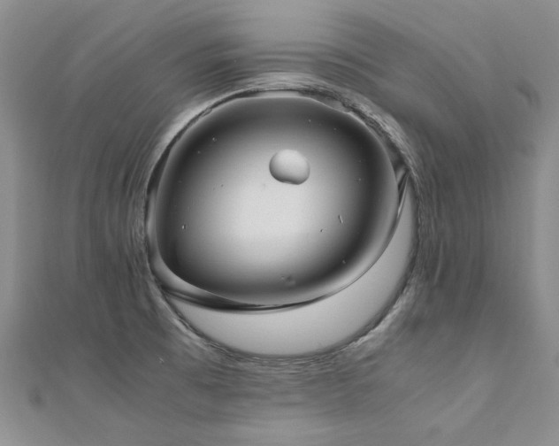 X0000111011473200906191601