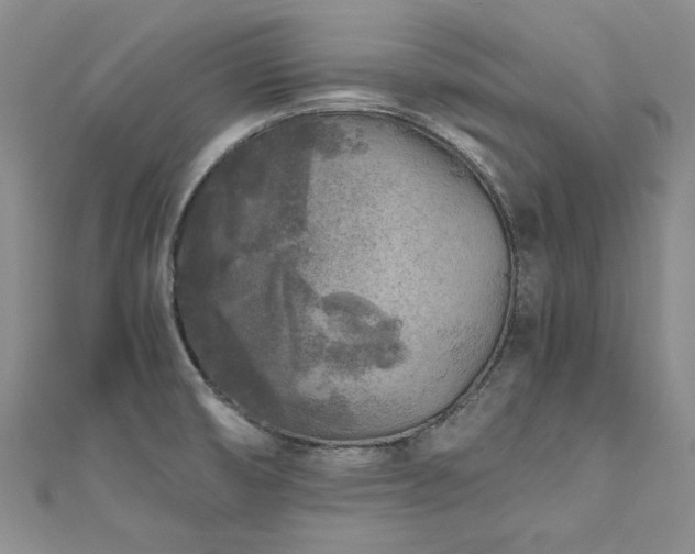X0000111011474200906191601