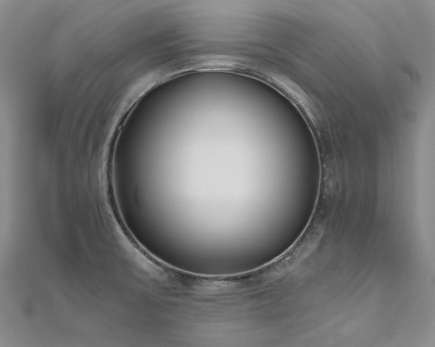 X0000111011475200906191601