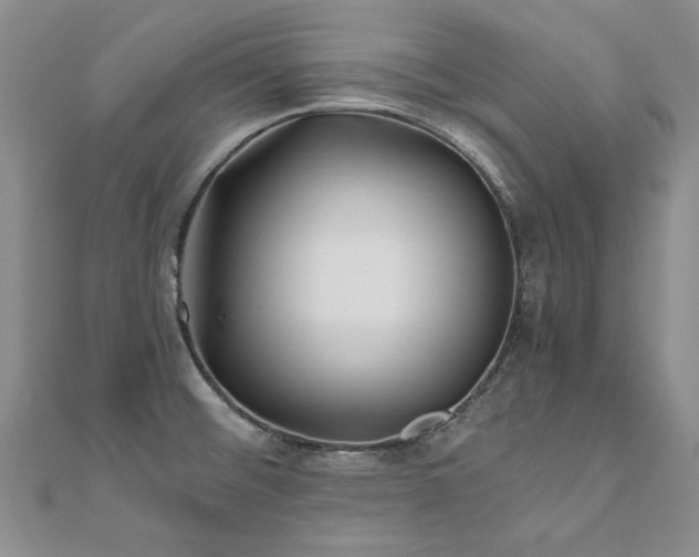 X0000111011476200906191601