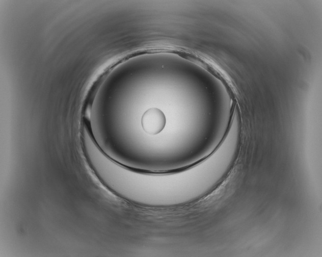 X0000111011477200906191601