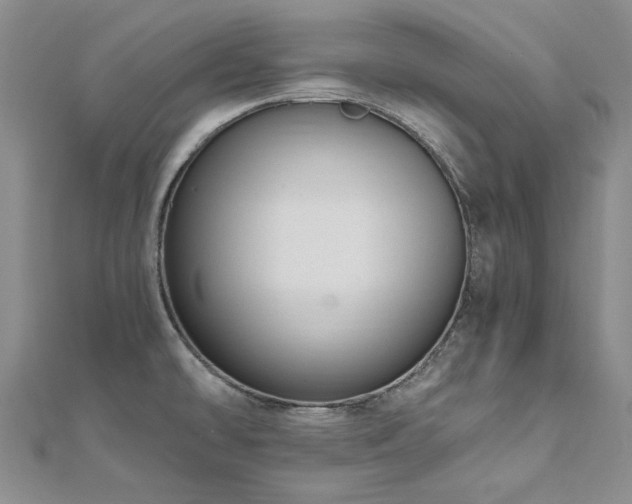 X0000111011478200906191601