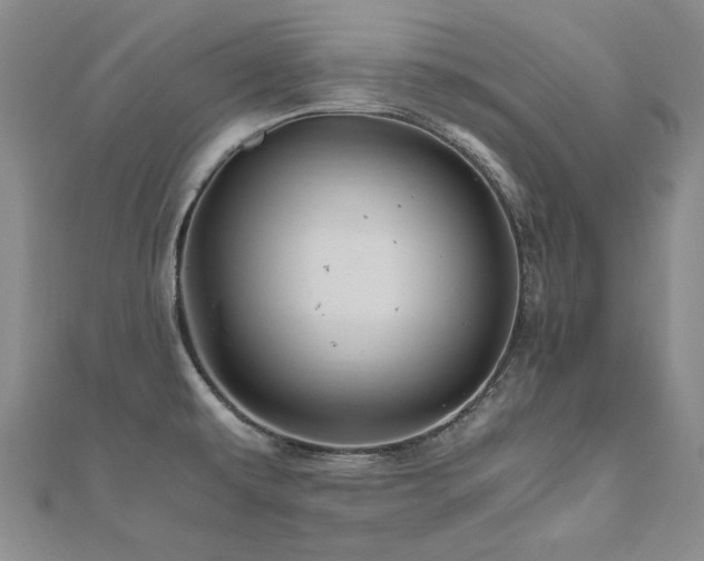 X0000111011479200906191601