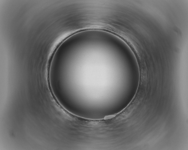 X0000111011480200906191601