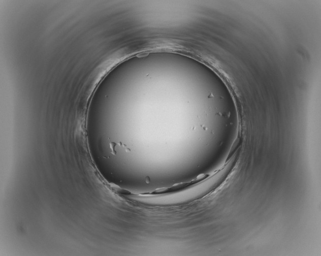 X0000111011481200906191601