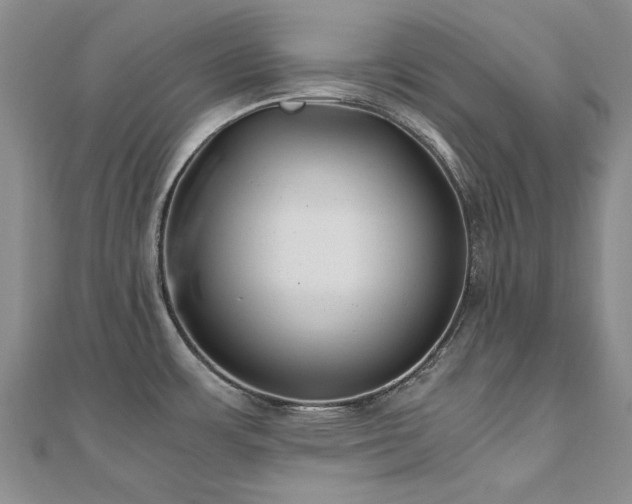 X0000111011483200906191601