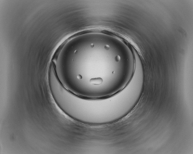 X0000111011484200906191601