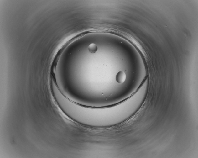 X0000111011485200906191601