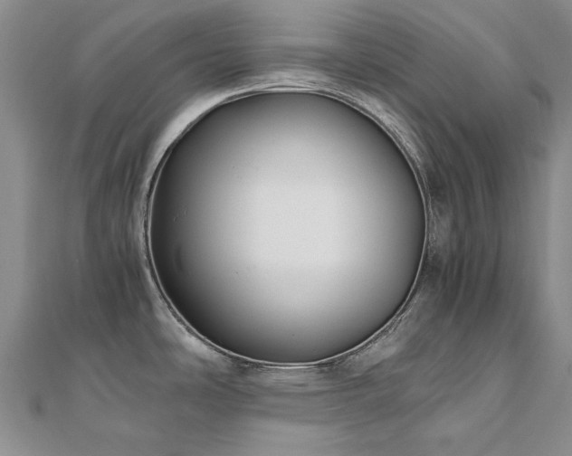 X0000111011486200906191601