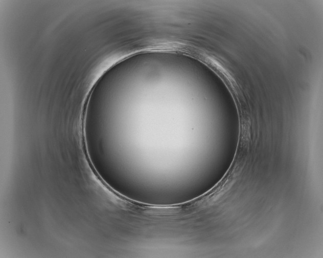 X0000111011487200906191601