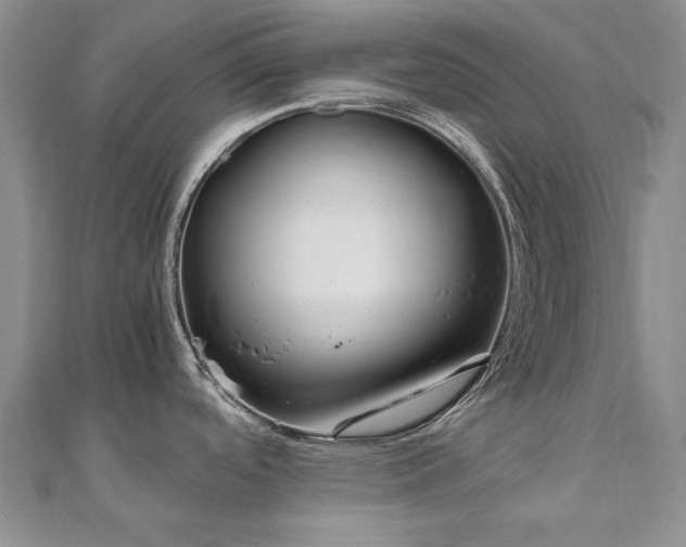 X0000111011488200906191601