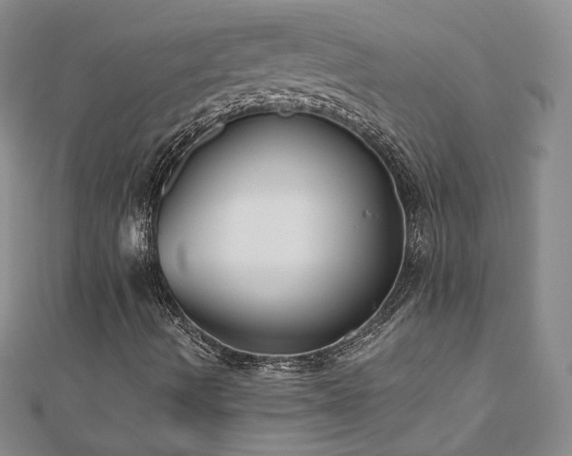 X0000111011490200906191600