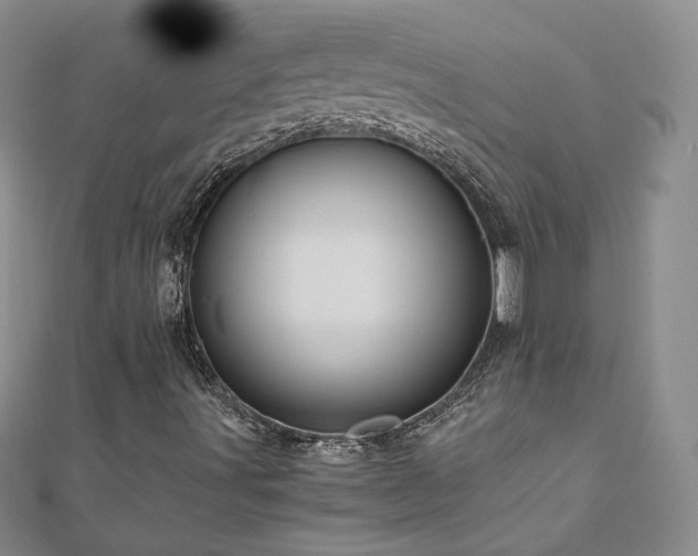 X0000111011491200906191600