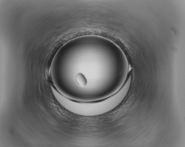 X0000111011492200906191600