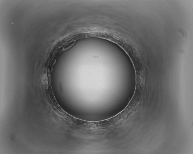 X0000111011493200906191600