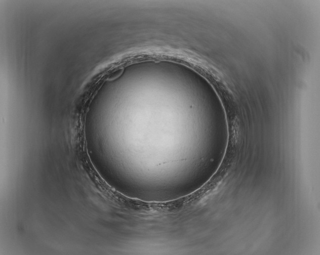 X0000111011494200906191600