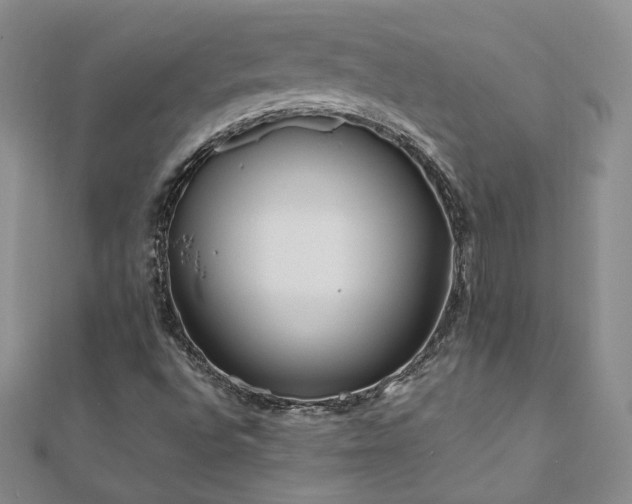 X0000111011496200906191600