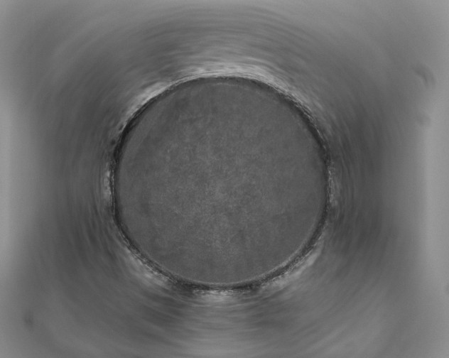 X0000111011497200906191600