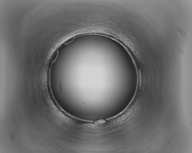 X0000111011500200906191601
