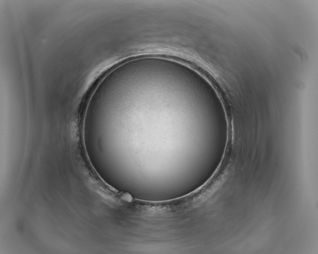 X0000111011501200906191601