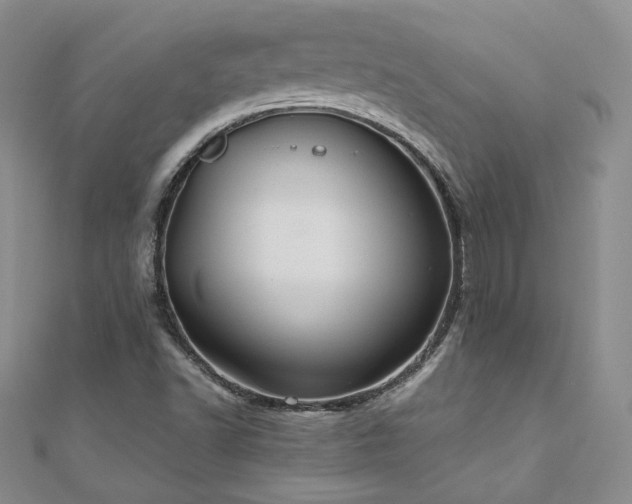 X0000111011502200906191601