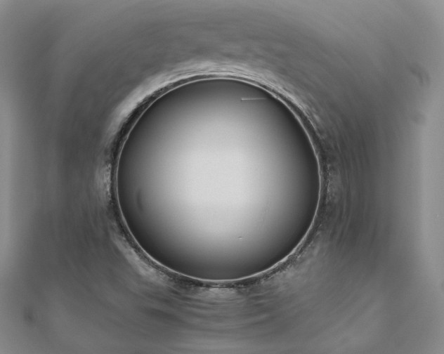 X0000111011503200906191601