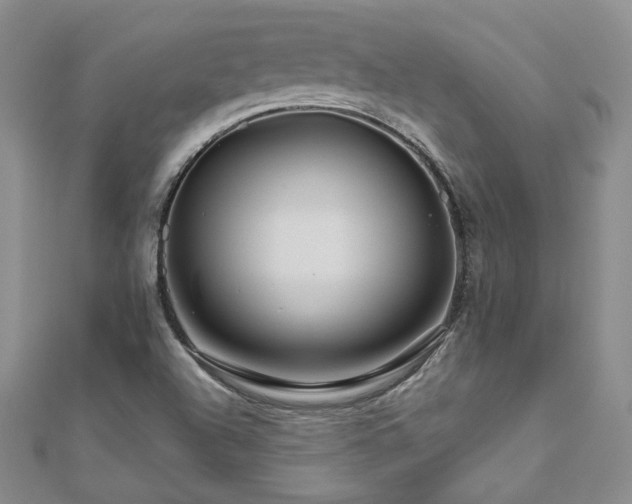 X0000111011504200906191601