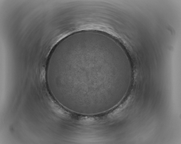 X0000111011505200906191601