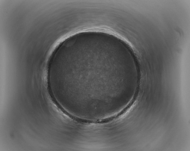 X0000111011506200906191601