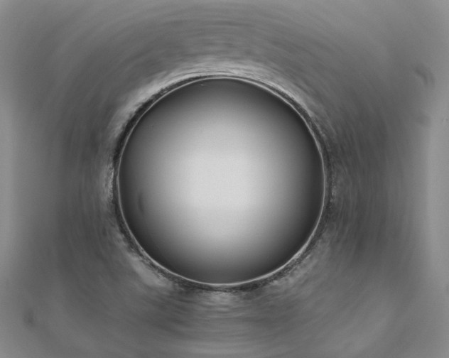 X0000111011507200906191601