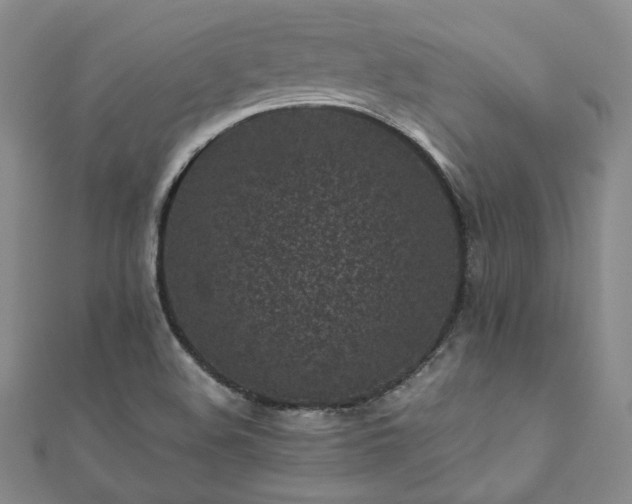 X0000111011508200906191601
