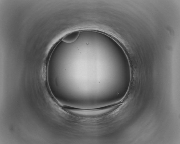 X0000111011510200906191601