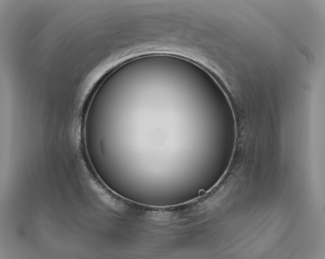 X0000111011511200906191601