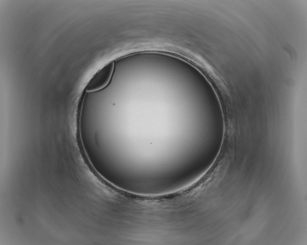 X0000111011512200906191601