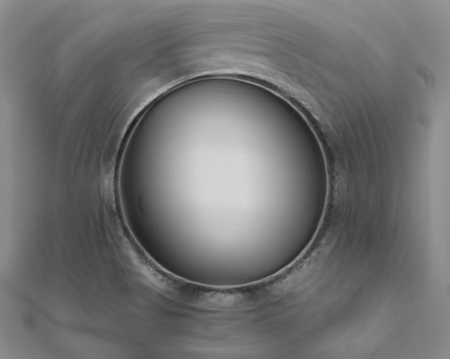 X0000111011513200906191601