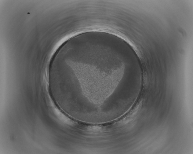X0000111011515200906191601