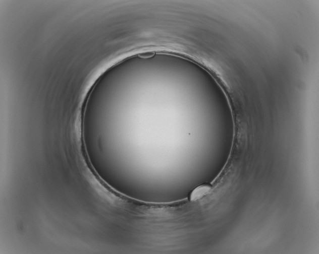 X0000111011516200906191601
